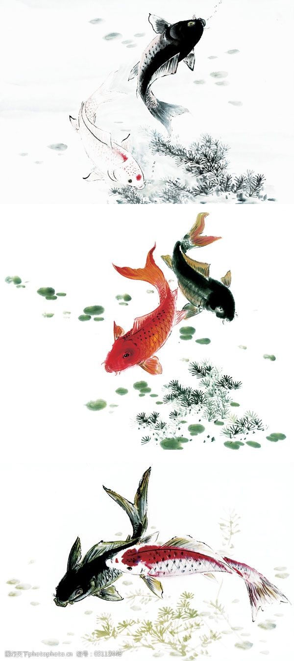水墨鱼国画作品传统文化psd素材