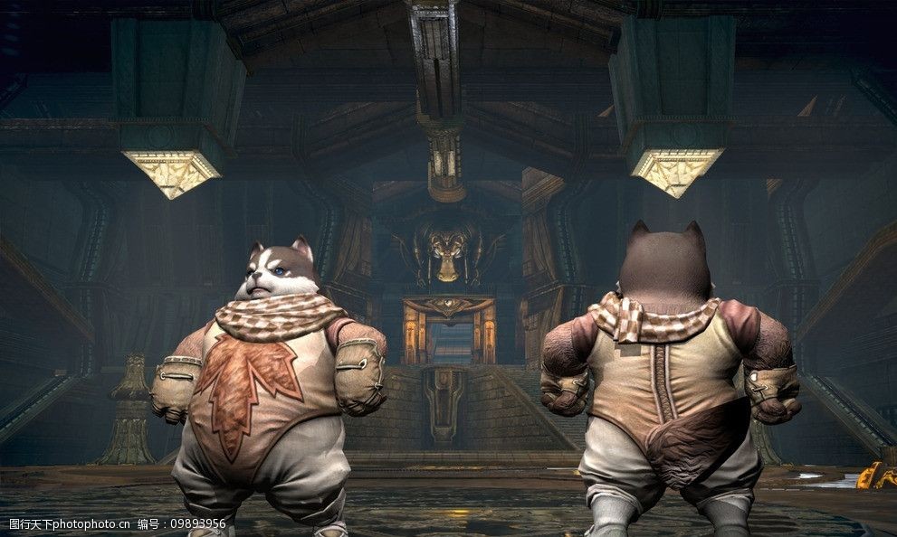 tera波波利布甲图片