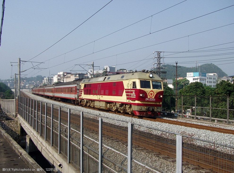 飞驰的花老虎图片