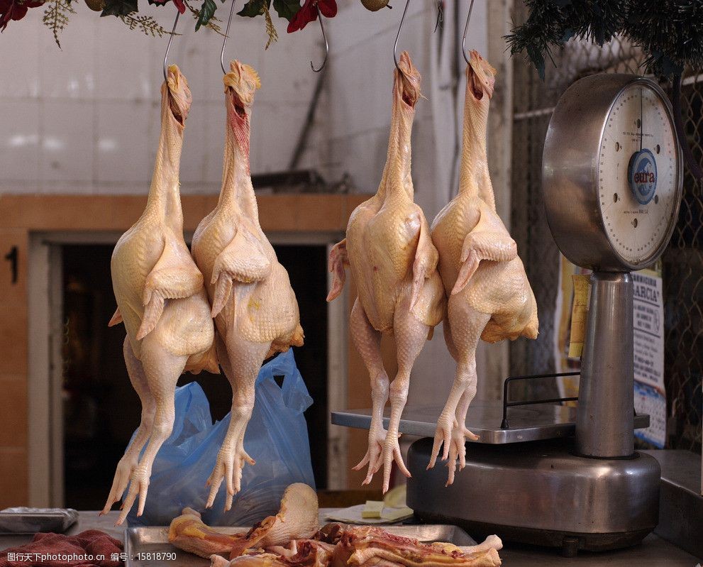 商店里的鸡图片