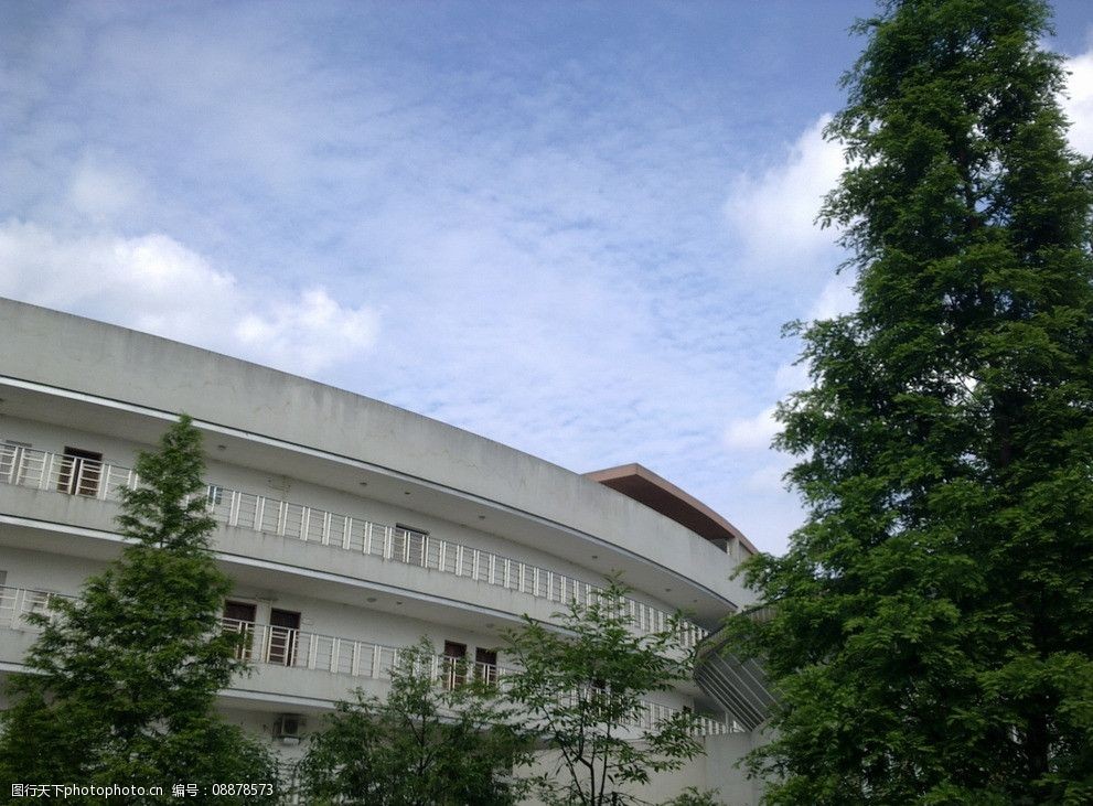 龙泉第一中学图片