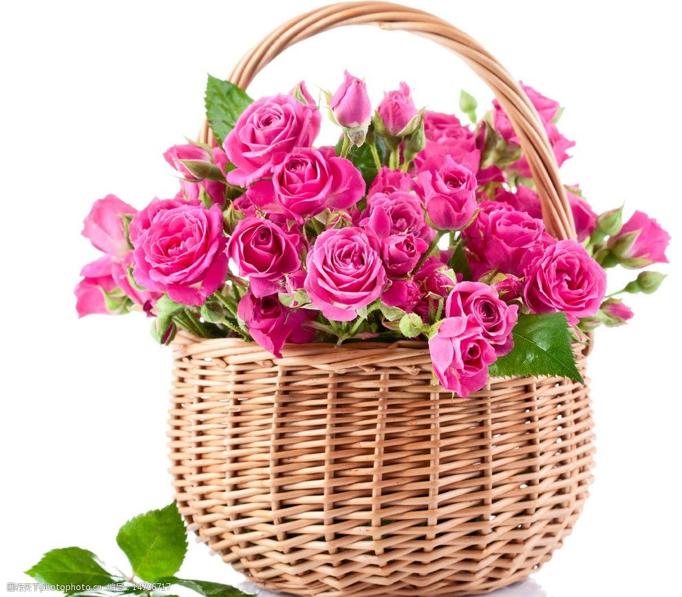 玫瑰花花篮图片