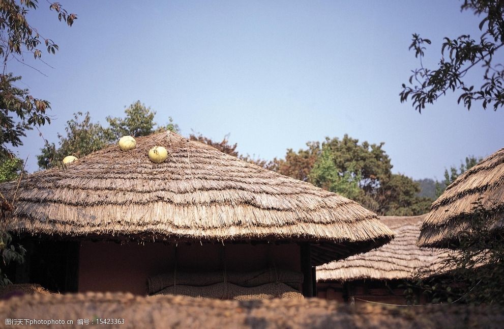 茅草屋顶韩国风光图片