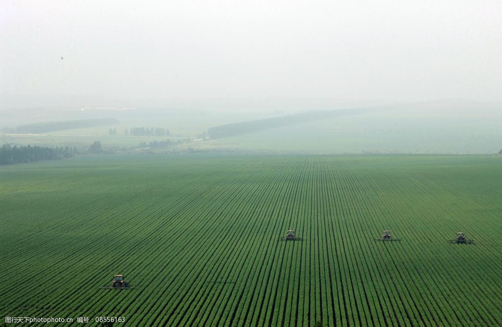 关键词:大地春天 大地 春 背景图 早春 大自然 田园风光 自然景观