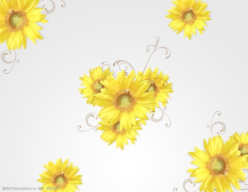 72dpi jpg 壁纸 底纹边框 花 设计 太阳花 移门图案 推拉门贴图 家居