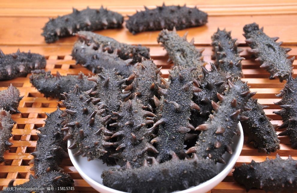 半干海参图片