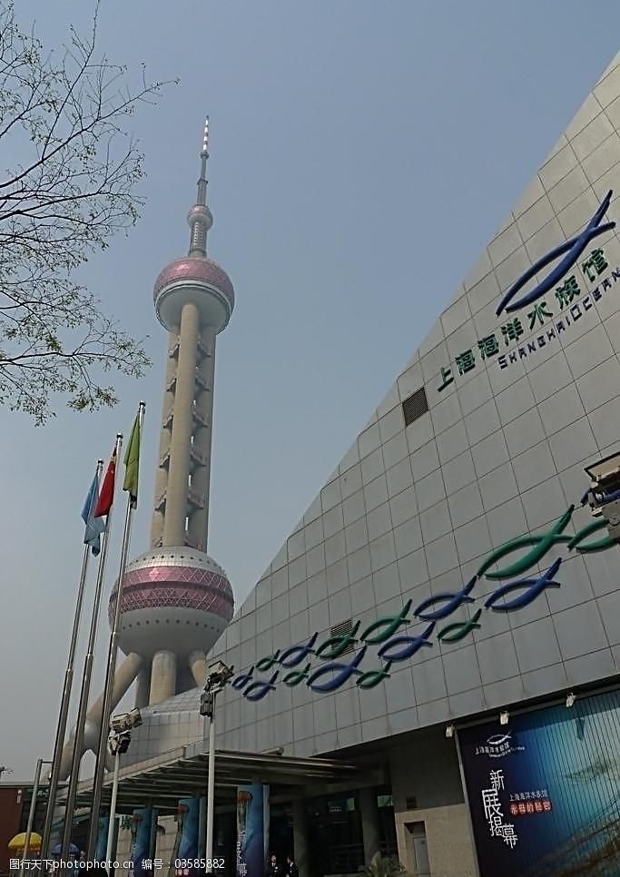 上海浦东海洋水族馆图片