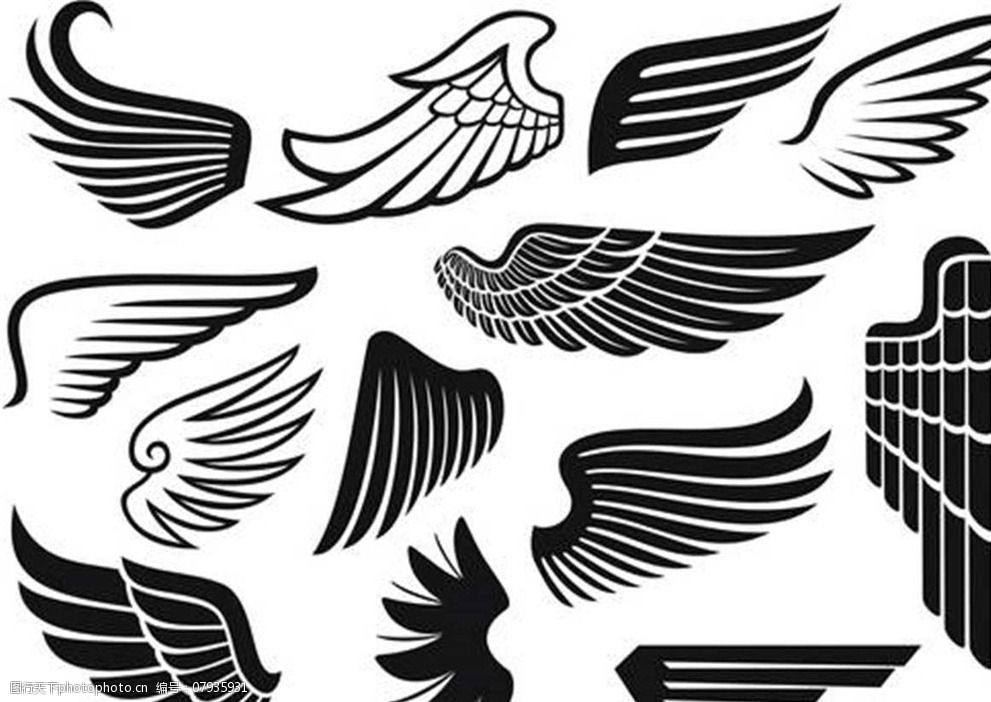 翅膀图案图片