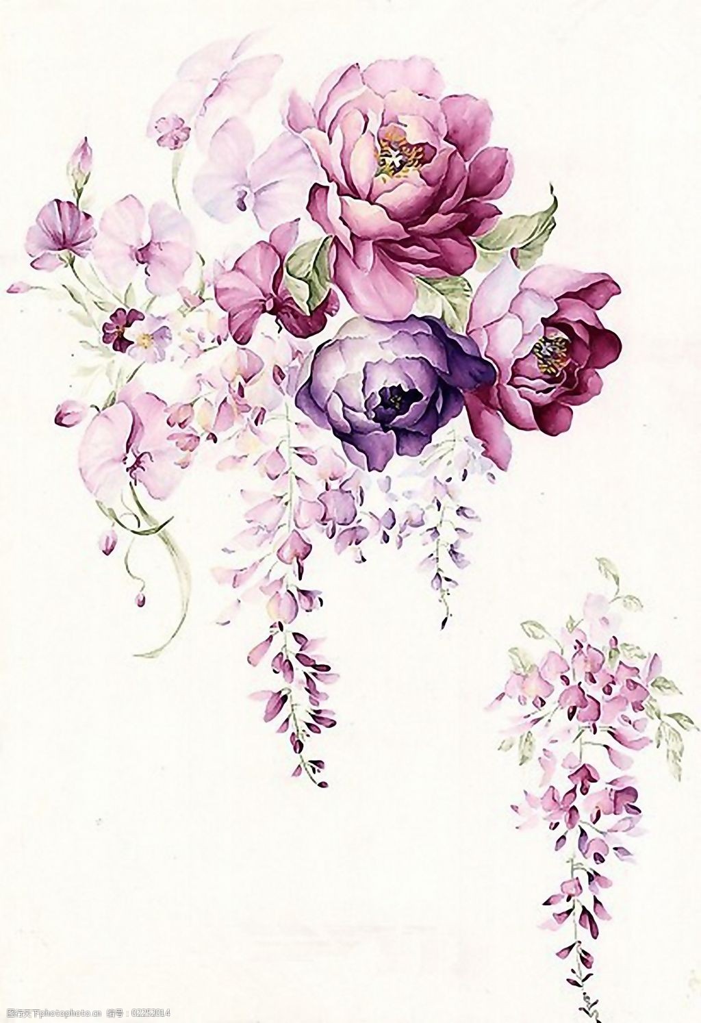 位图写意花卉植物花朵免费素材