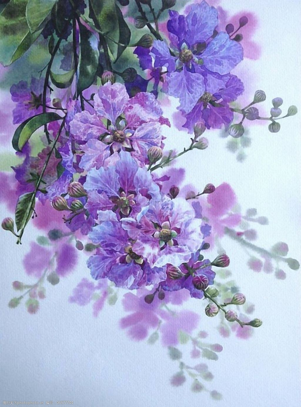 位图写意花卉植物花朵免费素材