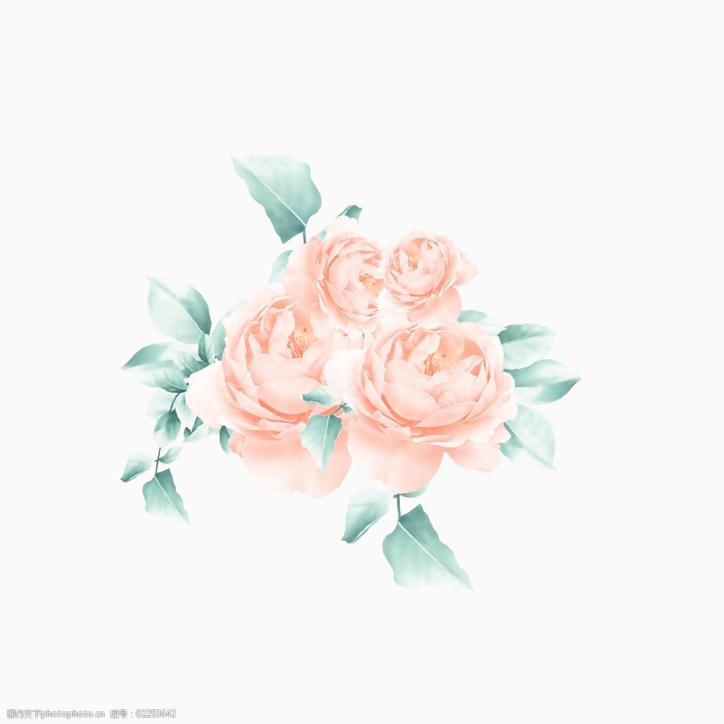 位图psd花朵牡丹家纺免费素材图片-图行天下图库