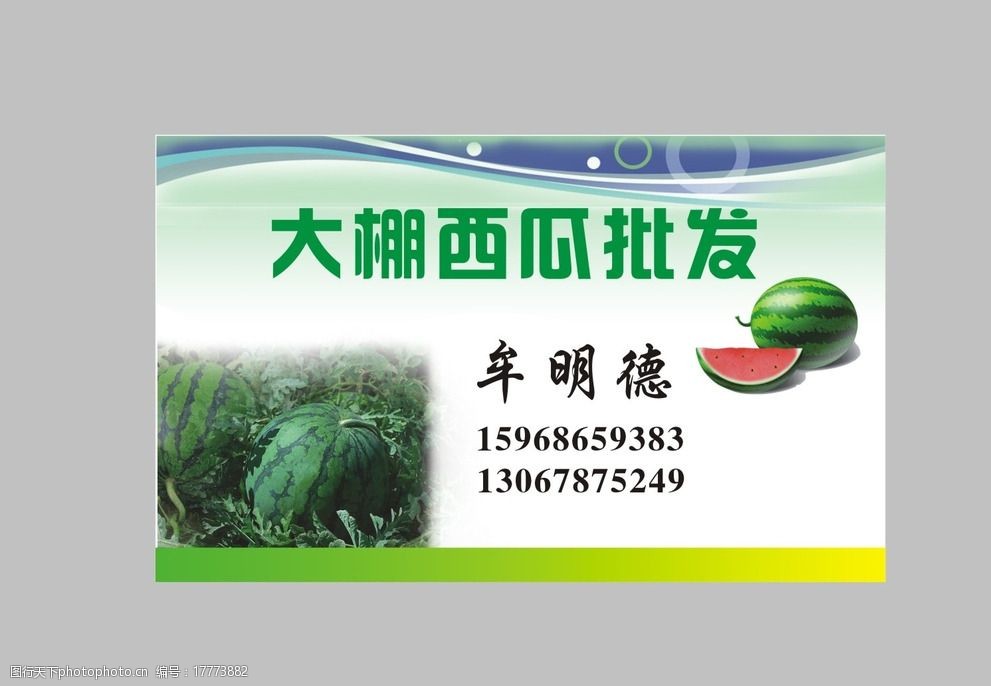 大棚西瓜批发名片图片