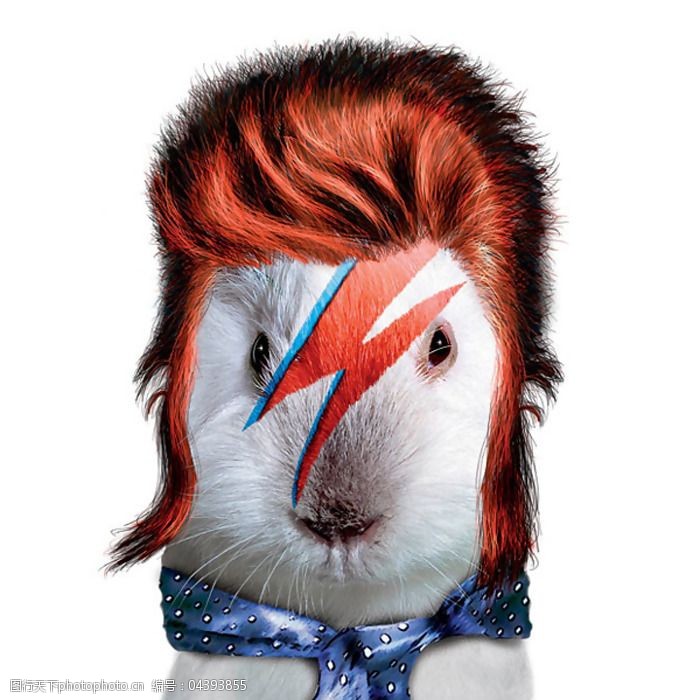 位图插画动物老鼠假发免费素材