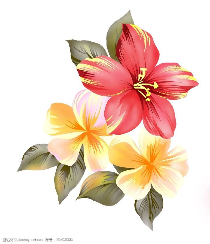 位图艺术效果手绘植物免费素材