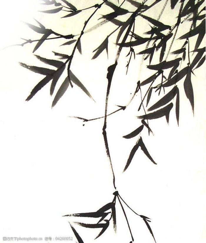 关键词:位图免费下载 服装图案 黑色 免费下载 水墨 位图 植物 竹子