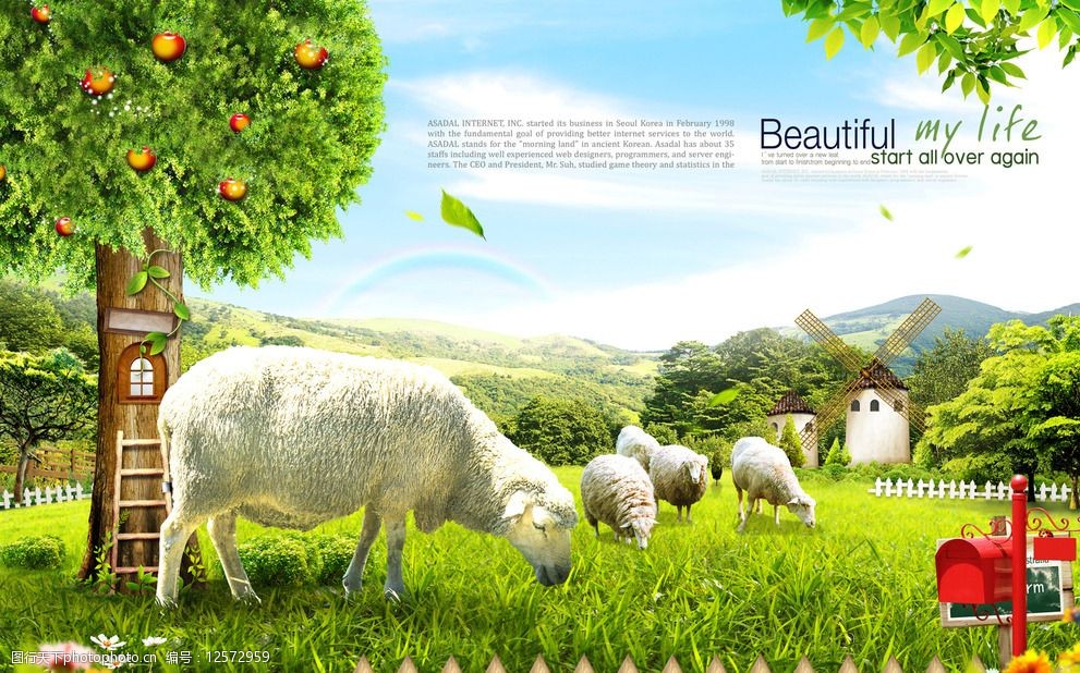 草原上的羊群图片