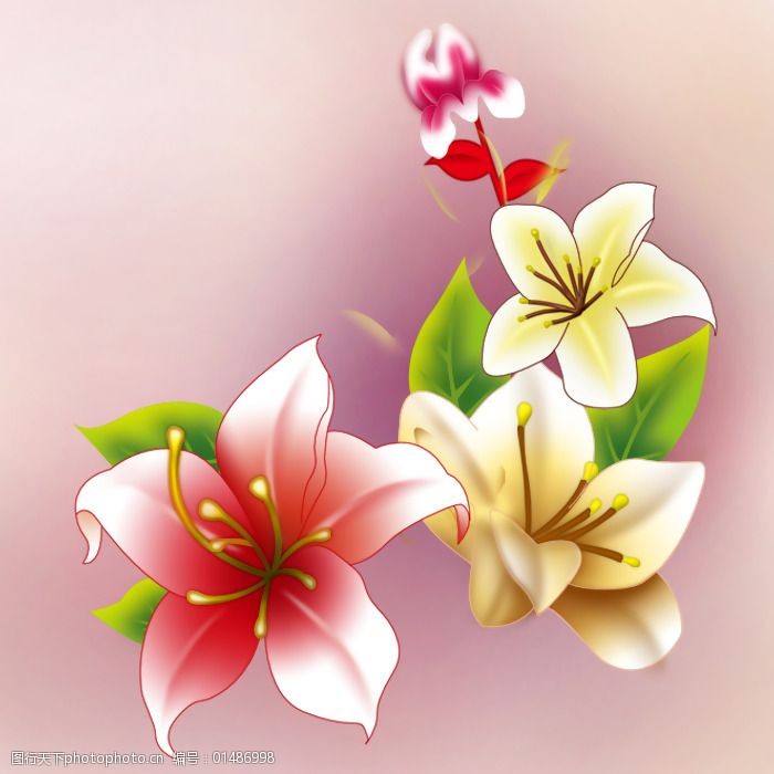 位图植物花卉优雅植物色彩免费素材