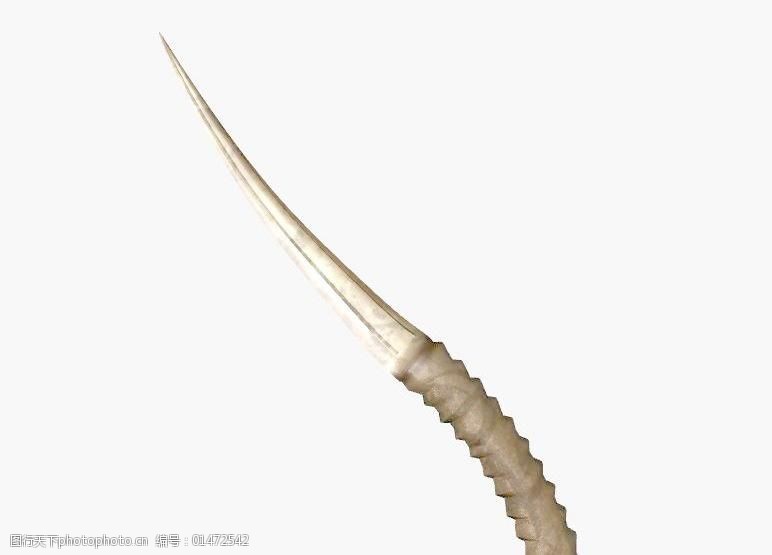 关键词:骨匕首 knife bone免费下载 军事模型 blade 匕首 古代武器库