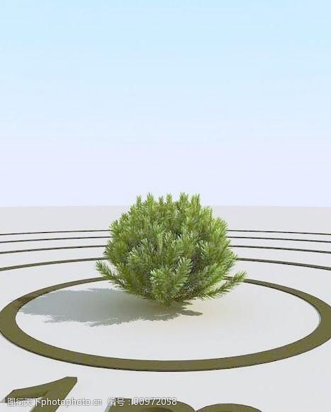 高精细小松树pinesmall1-03