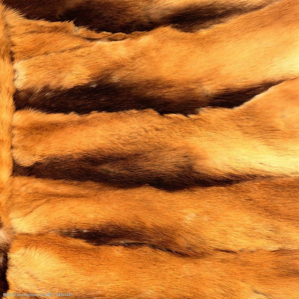 实物面料动物皮纹免费素材