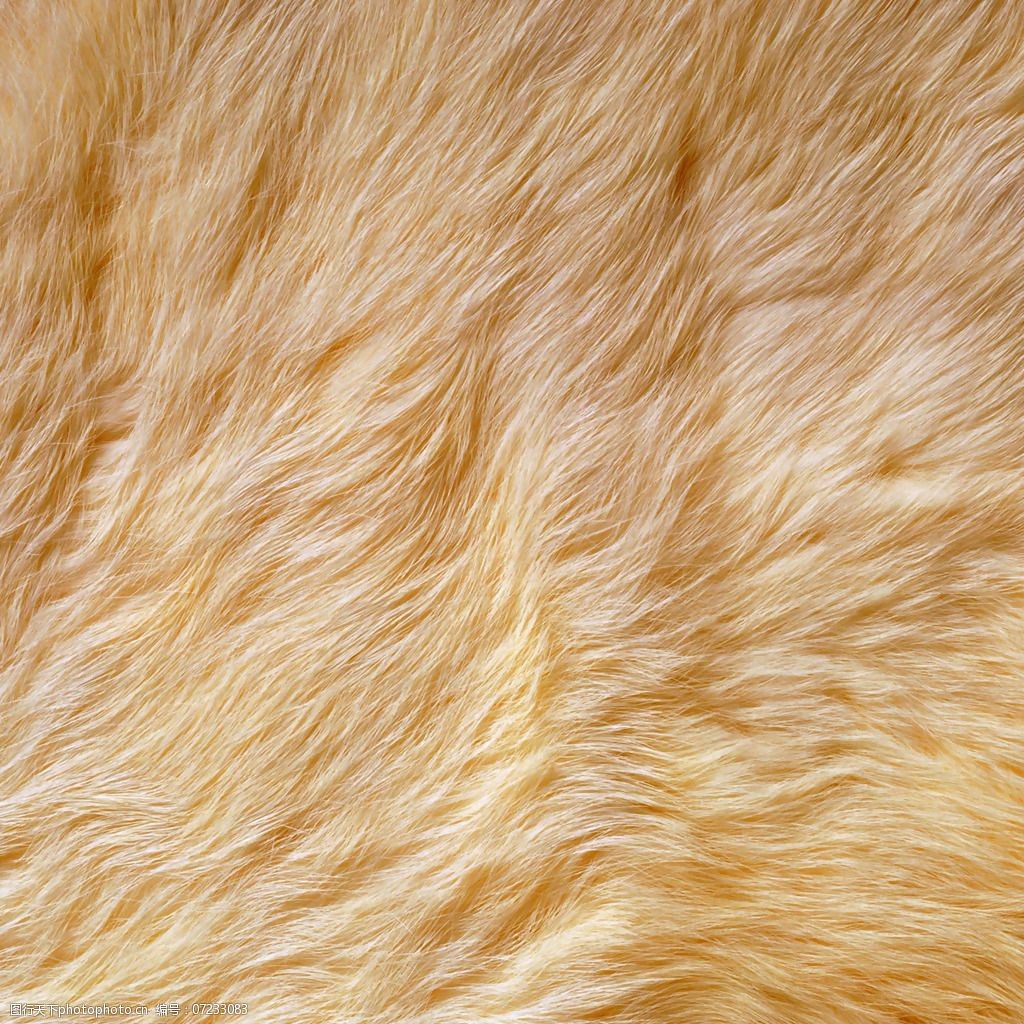 实物面料动物皮纹免费素材