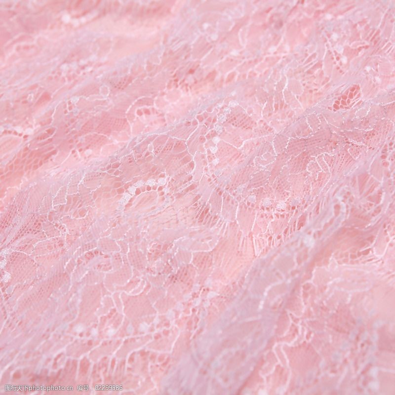 关键词:实物面料免费下载 服装图案 蕾丝 免费下载 实物面料 面料图库