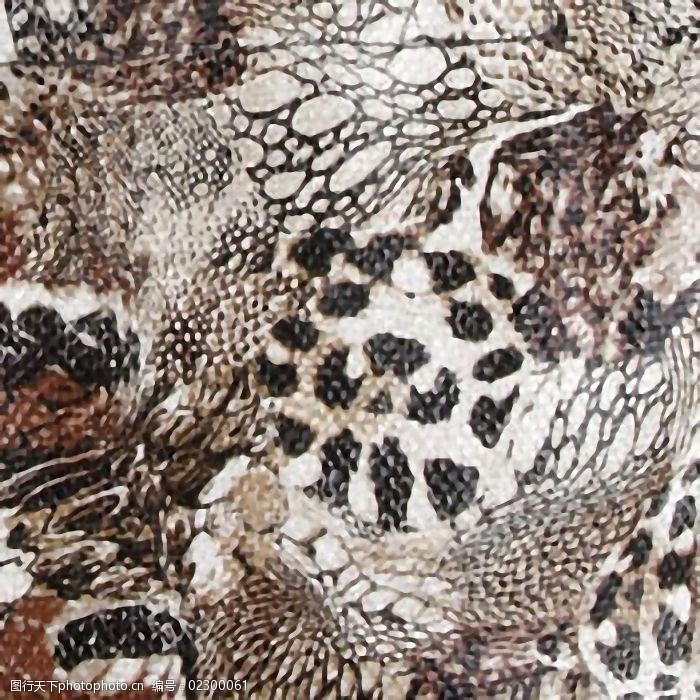 实物面料皮革蛇纹免费素材