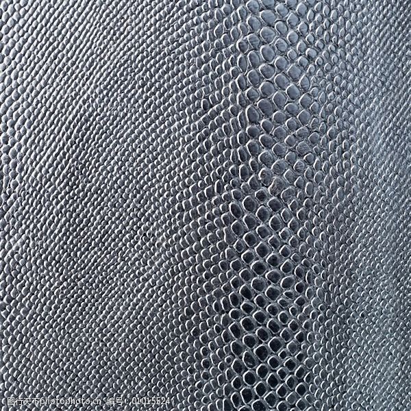 位图休闲风蛇纹免费素材