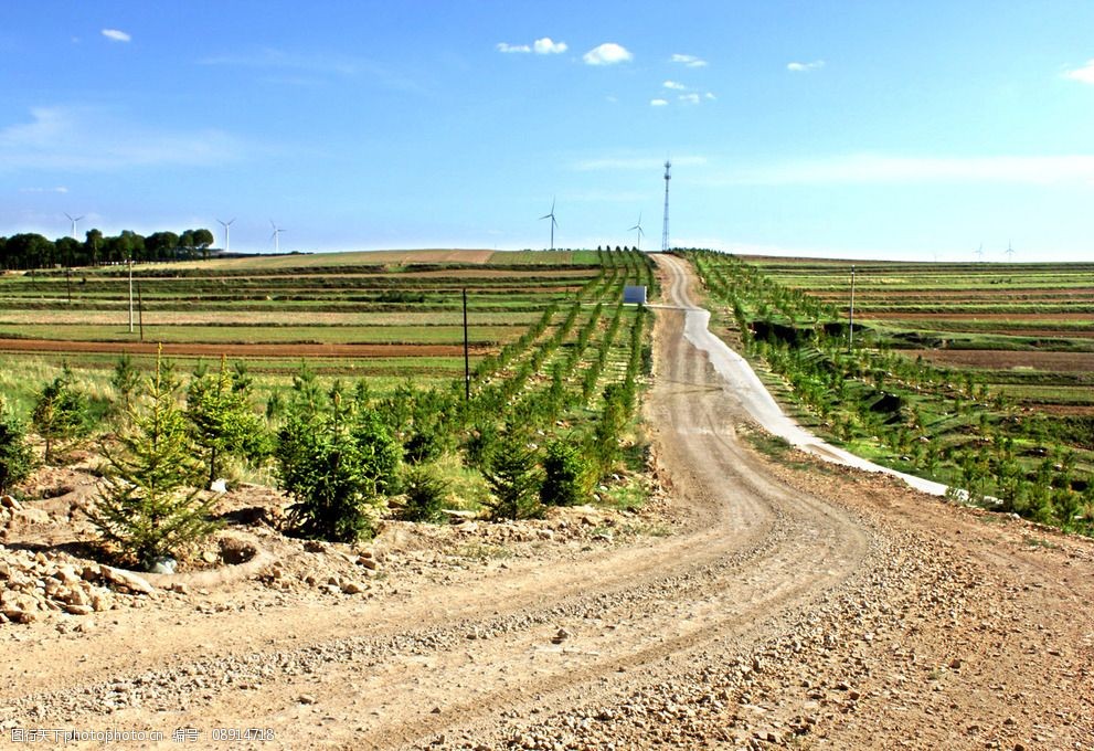 田间小路图片