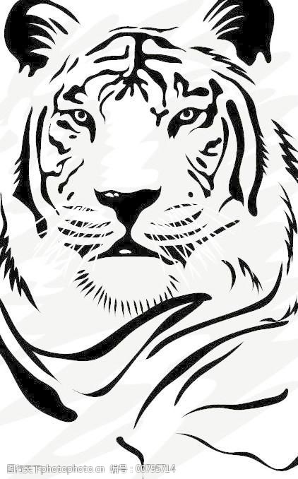 套老虎矢量图像艺术06