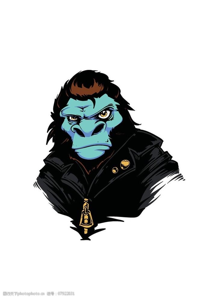 猩猩t恤图案图片