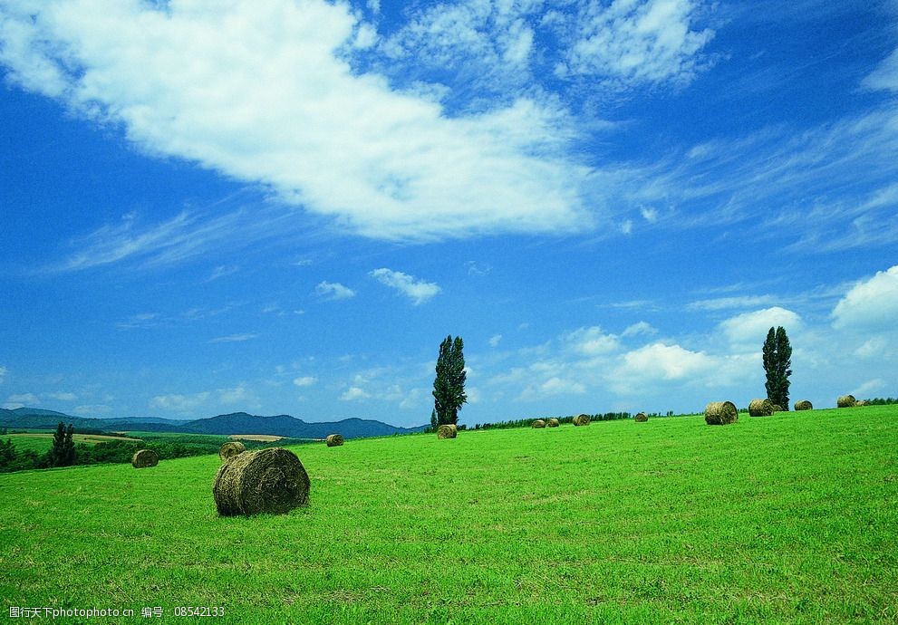 风景草原田园图片