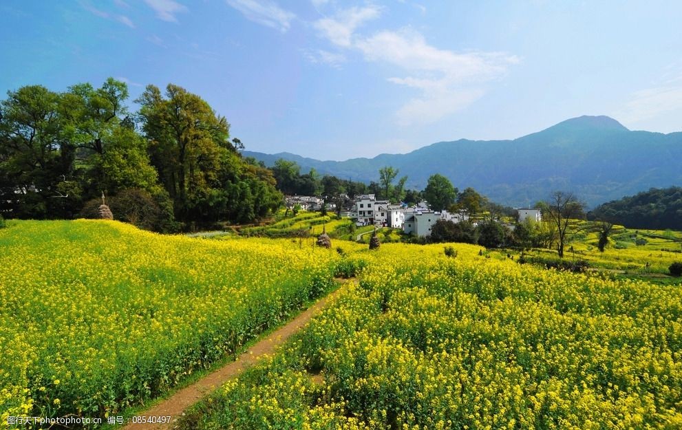 设计图库 自然景观 田园风光   上传: 2014-8-1 大小: 5.