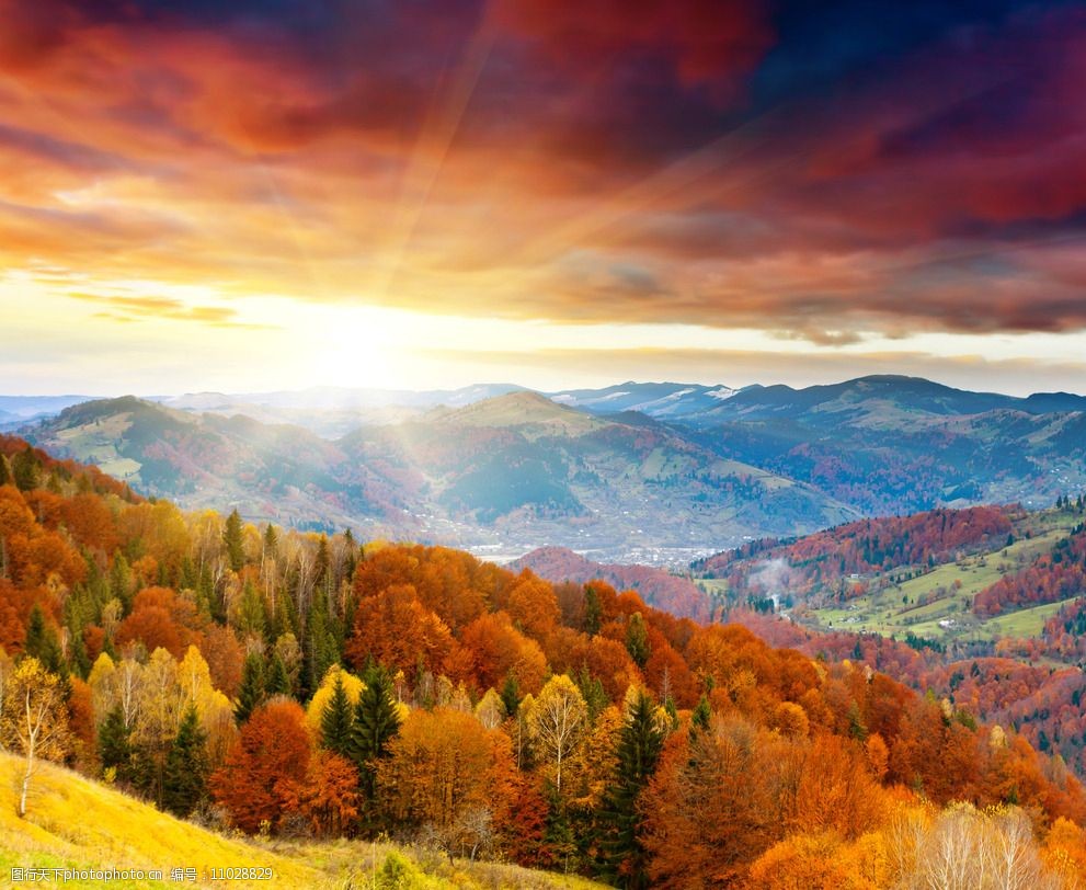 高清黄昏森林风光壁纸图片