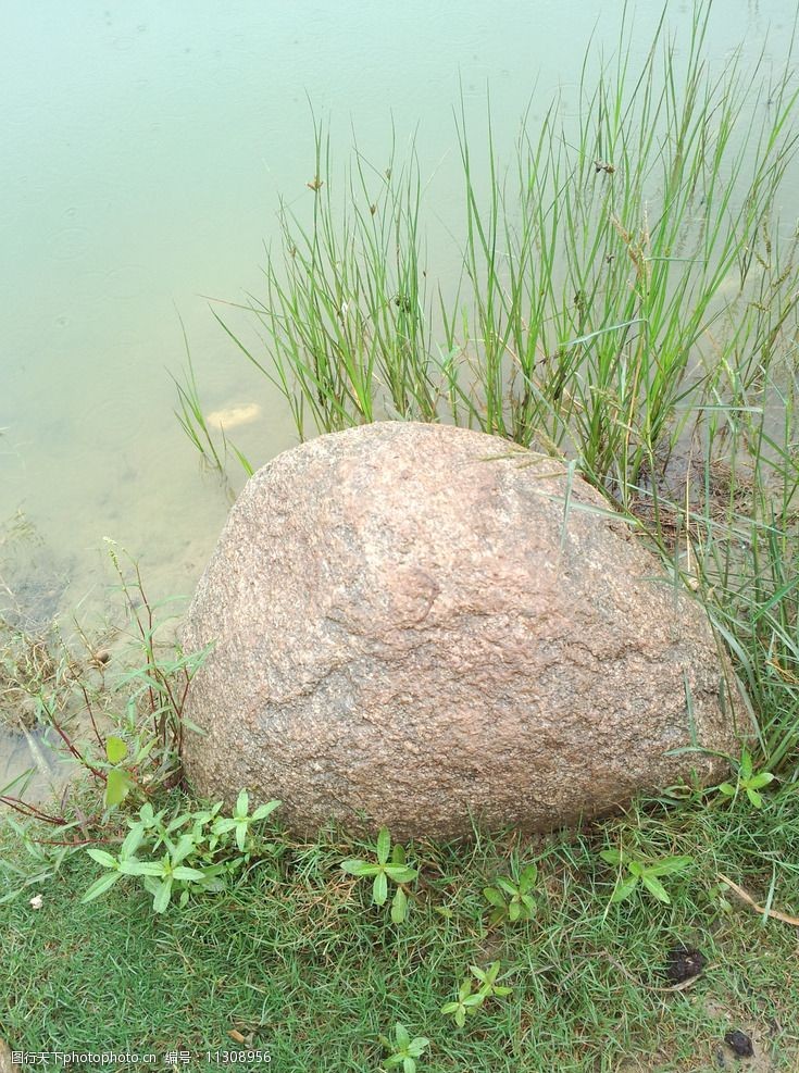 海草湖水石头图片