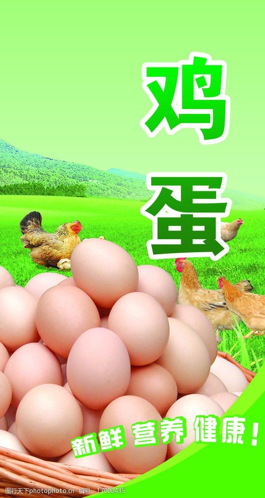 关键词:鸡蛋 海报 包柱 鸡 psd 绿色 美味 营养 健康 广告设计 设计