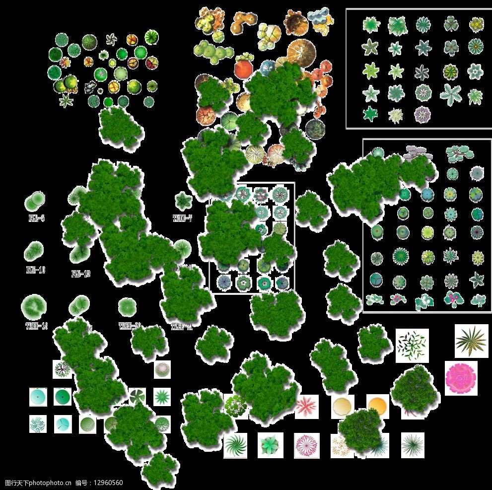 ps植物素材图片