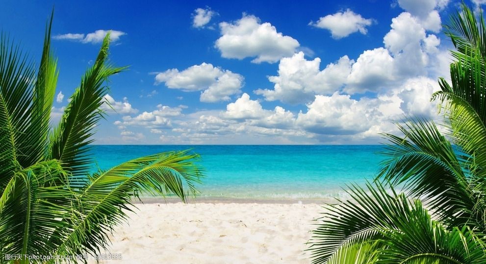 马尔代夫海边风景图片图片-图行天下图库