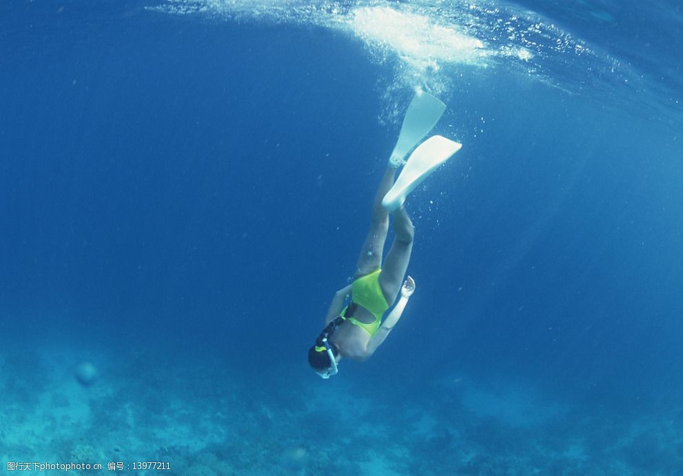 海底世界海底潛水圖片