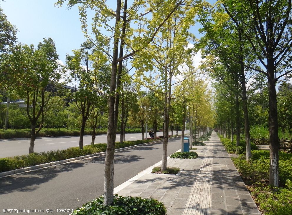 关键词:公路 马路 绿化带 唯美背景 唯美街景 林间公路 彩云之南 摄影