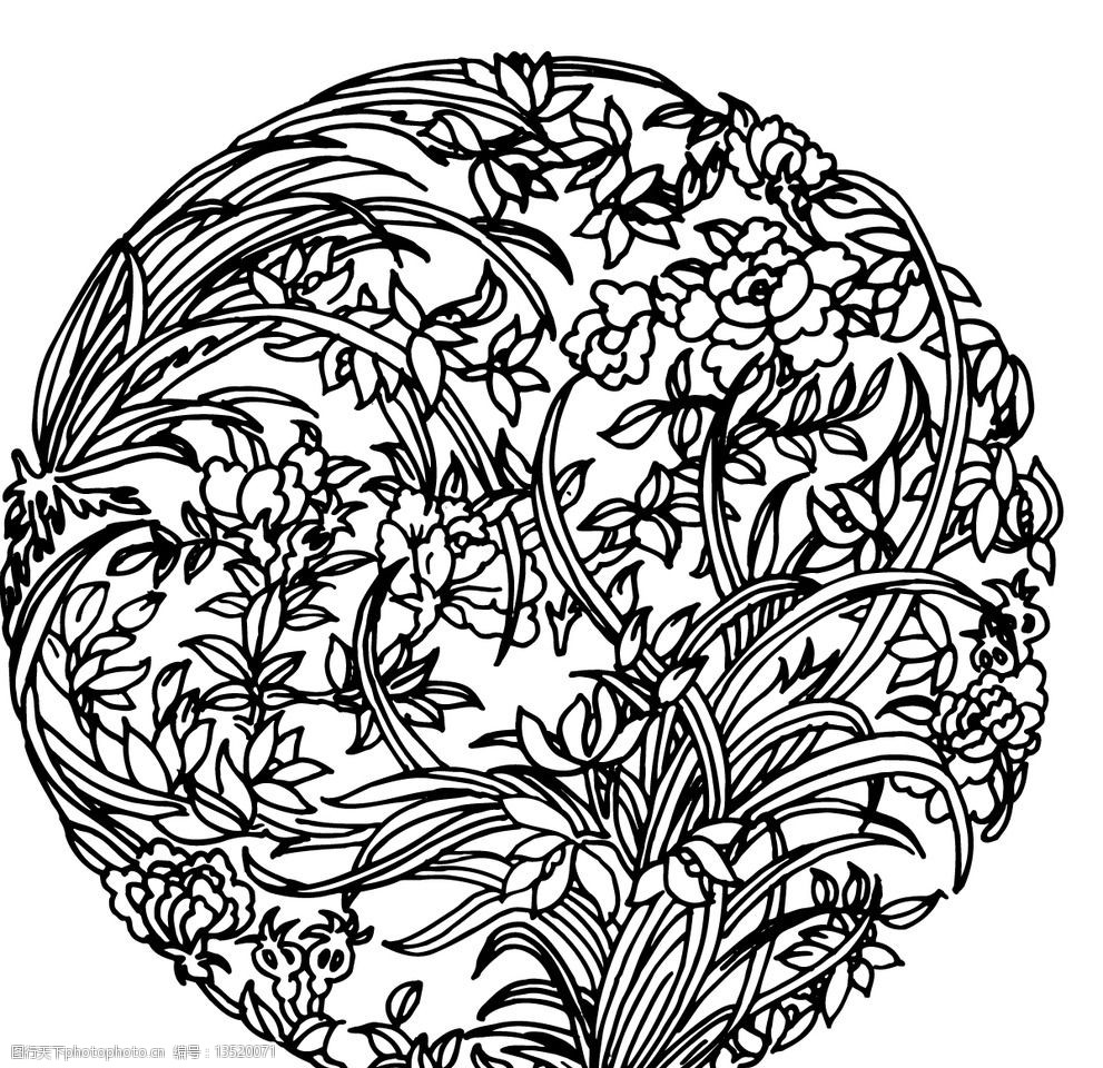 花草兰花花朵矢量图片