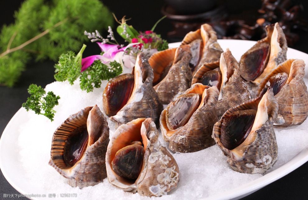 冰镇海角螺图片